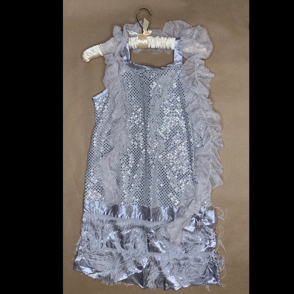Flapper Dress Costume 20’s
